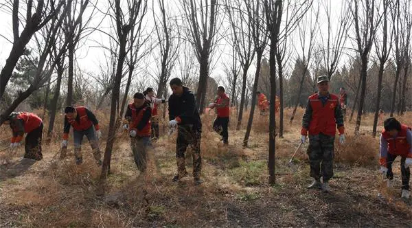 淄博市张店区集中清理玉皇山林区隐患  筑牢森林防火安全防线
