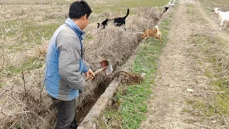 【为民办实事】湘湖镇:清沟清淤畅水系 高标准农田备耕忙