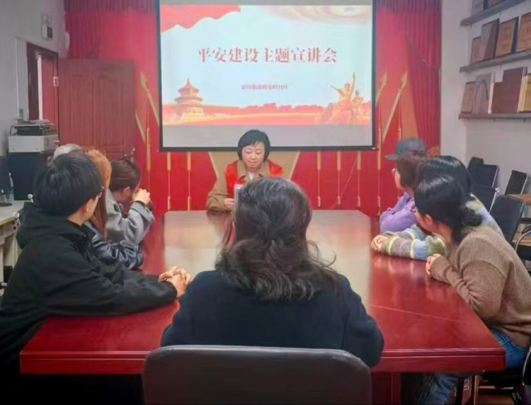 新村街道:梅家岭社区开展“平安建设人人参与、平安成果人人共享”平安建设主题宣讲会