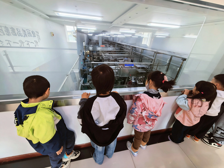 溯源一杯奶的安心:走进牧场,见证“智慧喂养”与生命初萌