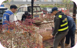 多方联动齐发力|昌河街道:昌盛社区开展楼栋环境大整治行动