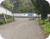 昌河街道:快速处置倒伏树木 保障昌盛社区居民出行安全