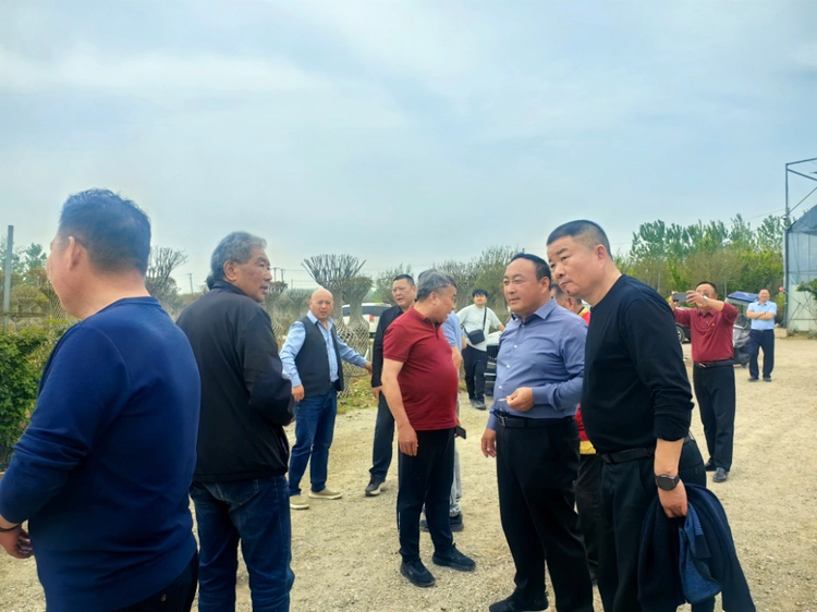 绿动珠城 向淮而生  ——安徽淮海园林绿化工程有限公司发展纪实