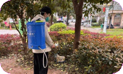 太白园街道:小路园社区开展“春季病媒防治”爱国卫生月活动