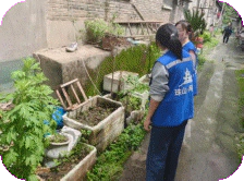 昌河街道昌盛社区开展禁种铲毒专项行动  筑牢无毒社区防线