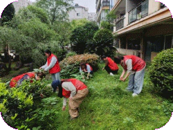 太白园街道:小路园社区开展禁种铲毒专项行动  筑牢禁毒安全防线