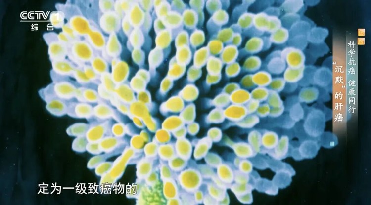 健康提醒：家里这几样东西发霉了？竟是一级致癌物，很多老人还在用！