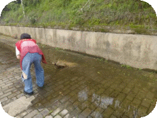 太白园街道戴家弄社区开展“共建健康城镇，共筑健康防线”宣传活动