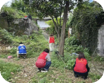 周路口街道云锦巷社区开展春季禁种铲毒专项行动 筑牢无毒社区防线