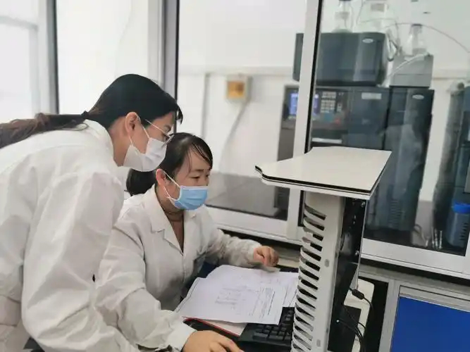 三合盛：为了让你吃上一口放心肉，我们把猪送进了“高山修仙学院”