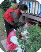 昌河街道：景东安厦社区开展爱国卫生月宣传活动