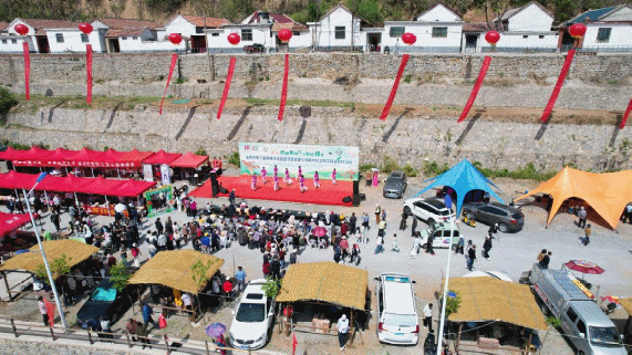 相约梨峪口 一起过椿节丨山东省淄博市第三届香椿文化旅游节举办