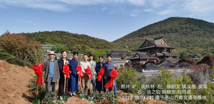 茅山道茶 薪火相传