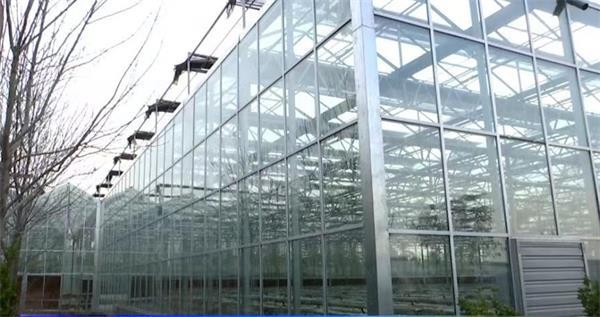 淄博临淄：政策赋能强动能 实干争先启新程 奋力谱写高质量发展新篇章