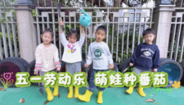 杭州市钱新幼儿园：五一劳动乐，萌娃种番茄