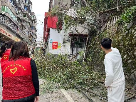 ​新村街道茶叶坞社区用心守护居民安全•清排危树除隐患