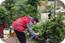 太白园街道西瓜洲社区开展“春风护家园 防媒保健康”春季病媒防制主题活动