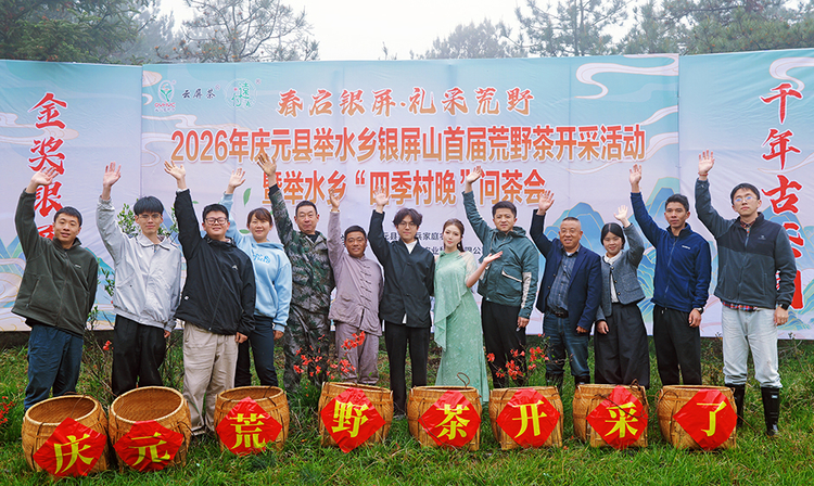 暮春采新茶 茶香满银屏——庆元县举水乡银屏山荒野茶首届开采活动圆满举行