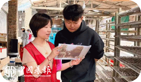 千年瓷韵传薪火，文化遗产共守护|太白园街道浙江路社区开展瓷文化遗产宣传活动