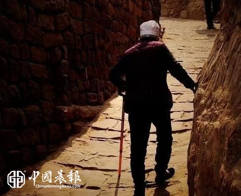 王崇训先生母亲节诗二首——梦