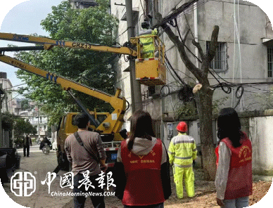 新村街道梅家岭社区：清除危树除隐患守护社区保平安