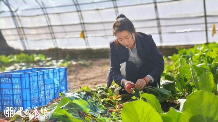 深耕后勤守初心 巾帼实干绽芳华—赵瑞霞先进个人事迹材料