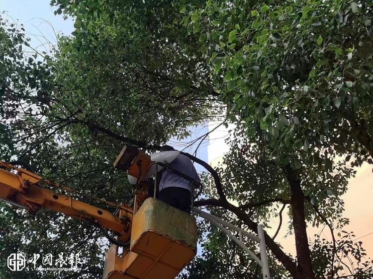 明灯照归途 暖意润民心 | 昌河街道:用心用情点亮微光 办好民生实事 明灯照归途 暖意润民心 | 昌河街道:用心用情点亮微光 办好民生实事