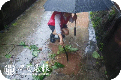 暴雨守平安！新村街道洪家山社区全力开展防汛排查工作