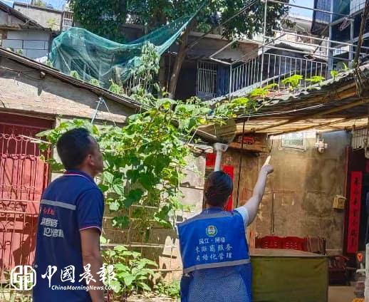 我为群众办实事 | 西郊街道东风坦社区：整治垂落线缆隐患 守护居民出行安全
