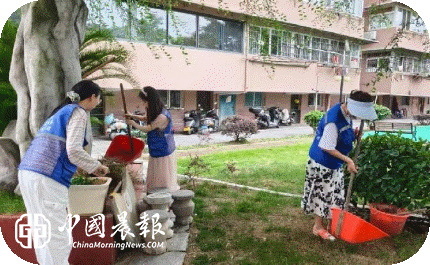 整治环境焕新颜 | 西郊街道金鱼山社区联合国税小区物业开展环境卫生专项整治行动