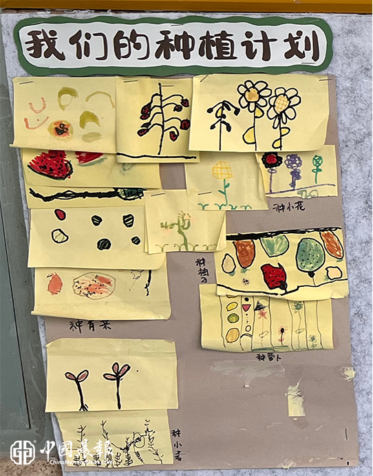 播种春日希望，探寻自然奥秘