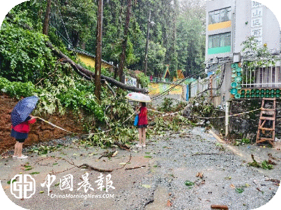 闻“汛”而动 快速排险!新村街道洪家山社区全力筑牢暴雨天气安全防线 闻“汛”而动 快速排险!新村街道洪家山社区全力筑牢暴雨天气安全防线