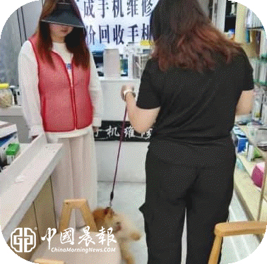 ​文明养犬新风尚 暖心治理优营商 |周路口街道广场社区扎实推进文明养犬专项行动