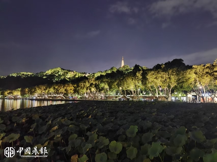 晨潮启杭，众行致远 张淦依托晨报，发起杭州创业共生社群