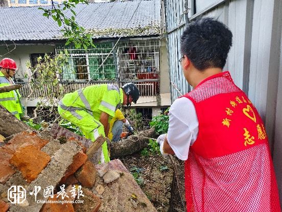 新村街道昌虹社区纪检监督靠前发力 清除倒伏危树解民忧 新村街道昌虹社区纪检监督靠前发力 清除倒伏危树解民忧