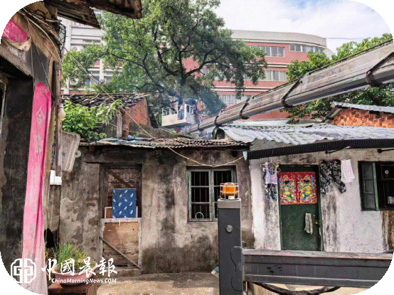 闻“风”而动排查除险|太白园街道西瓜洲社区全力筑牢台风“巴威”安全防线 闻“风”而动排查除险|太白园街道西瓜洲社区全力筑牢台风“巴威”安全防线