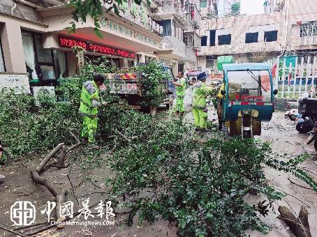 履职监督除隐患清障护民保平安 | 新村街道百眼井社区纪检监督小组快速处置树木倒伏险情 履职监督除隐患清障护民保平安 | 新村街道百眼井社区纪检监督小组快速处置树木倒伏险情