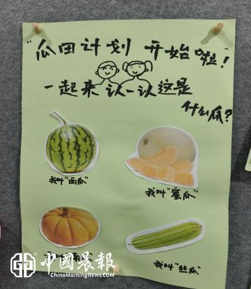 追随瓜田童趣，让探究自然生长
