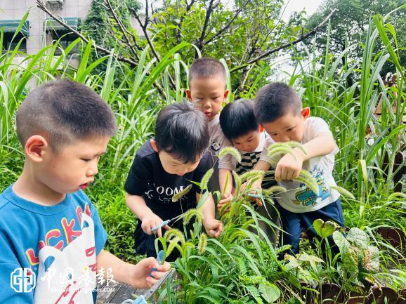 把夏天揉进面团里、藏进草木间——杭州市花园幼儿园暑托班温暖启幕 把夏天揉进面团里、藏进草木间——杭州市花园幼儿园暑托班温暖启幕