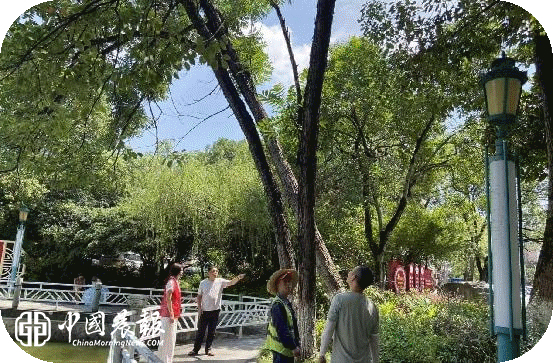 昌河街道昌盛社区：消除树木安全隐患 筑牢辖区安全防线