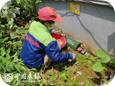 清脏除害护民生！湘湖镇深入开展夏秋季爱国卫生暨村庄清洁专项行动