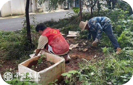 昌河街道昌盛社区：深耕精细物业治理 整治毁绿种菜乱象