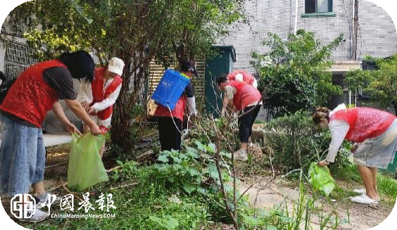 深耕爱国卫生行动 筑牢病媒防制屏障|太白园街道小路园社区开展卫生整治活动