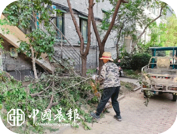 物业治理提质效 宜居环境焕新颜|太白园街道小路园社区联合物业开展环境整治行动 物业治理提质效 宜居环境焕新颜|太白园街道小路园社区联合物业开展环境整治行动