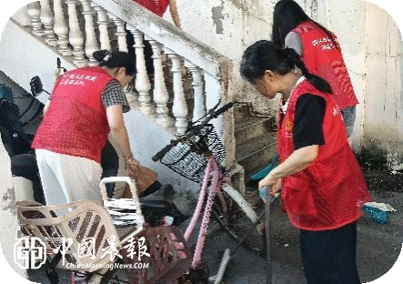 太白园街道浙江路社区开展“夏秋爱国卫生   筑牢病媒防线”主题活动