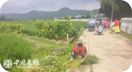 【周五环境整治日】湘湖镇：清杂除乱提颜值 常态整治促和美