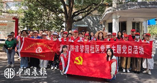 一抹党旗红，扮靓家园颜！昌河街道梦园社区组织开展环境整治主题党日活动