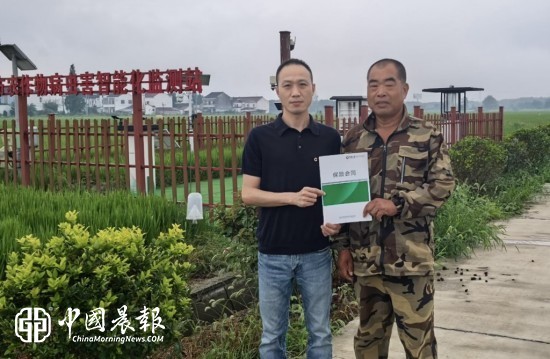 水稻也能保“科技险” 全国创新商业性智慧水稻产值保险在无锡落地