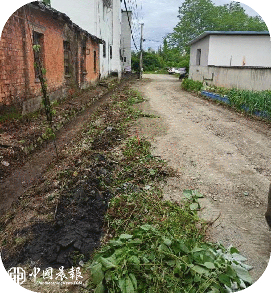 【湘湖微实事】湘湖社区:硬化的是道路 温暖的是民心 【湘湖微实事】湘湖社区:硬化的是道路 温暖的是民心
