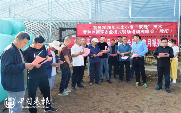 农业科普进田间!陵阳街道开展玉米小麦“双晚”技术暨种养循环农业模式观摩培训会 农业科普进田间!陵阳街道开展玉米小麦“双晚”技术暨种养循环农业模式观摩培训会
